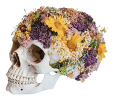 Decorative skull adorned with vibrant flowers png