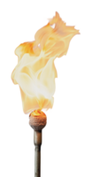flamme s'enflamme de en bois torche dans foncé réglage png