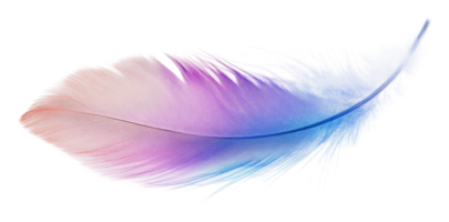Colorful feather with a gradient in soft tones png
