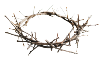 Natural twig crown crafted from twigs and branches png