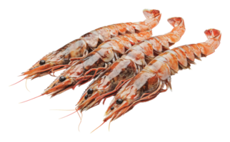 Fresh shrimp arranged in a culinary display png