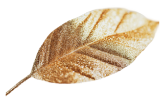 Sparkling golden leaf on white background png