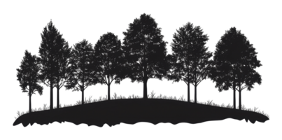 Silhouette of trees on a gentle hill during dusk png