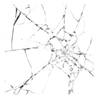 Intricate web pattern found in natural setting png