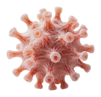 Microscopic view of virus structure png