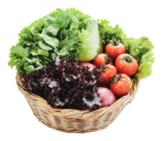Fresh selection of assorted vegetables in a basket png
