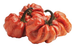 Unique red peppers displayed on a white background png