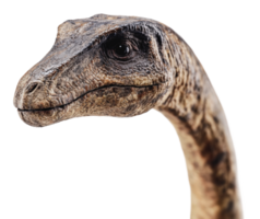 Realistic dinosaur model head in close view png