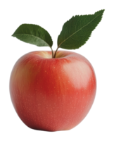 Red apple with green leaves on white png