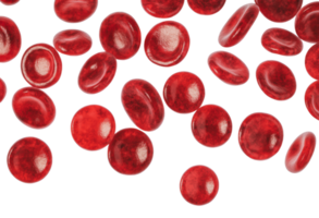Red blood cells scattered on a white background png