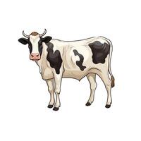 High-Resolution Cow Illustration for Stock Use vector