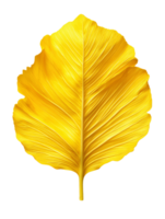 vibrant yellow leaf showcasing intricate details and textures png