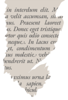 Torn Paper Fragment with Text Layout png