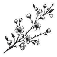 One continuous single drawing black line art doodle of Cherry blossom branch vector