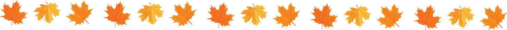 Autumn leaves fall separator thanksgiving on transparent background. Abstract autumn panorama with colorful leaves vector