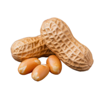 Raw peanuts in shells and kernels on a transparent background png