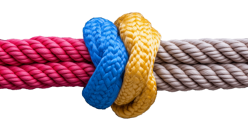 Colorful ropes intertwined in a knot on transparent background png