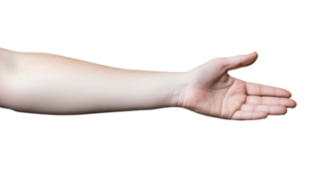 Outstretched human hand with open palm on transparent background png