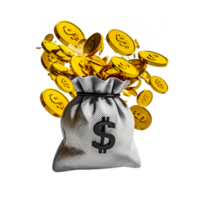 Gold coins money Bag with dollar symbol png
