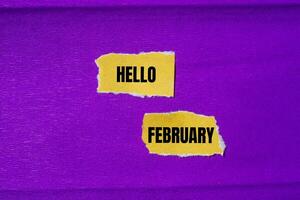 Hello february message written on ripped torn yellow paper pieces with purple background. Conceptual hello february symbol. Copy space. photo