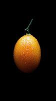 kumquat isolated on black background photo