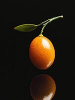 kumquat isolated on black background photo