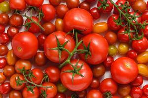 Variety of tomatoes texture. photo