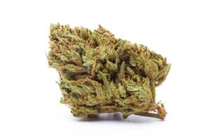 Cannabis flower isolated on white background photo