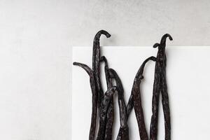 Vanilla beans on grey background photo