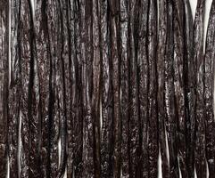 Vanilla beans texture. photo