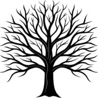 Silhouette of Tree without leaves vector