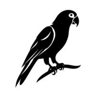 Black silhouette of a parrot perched on a branch against a plain background vector