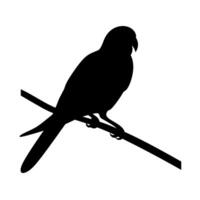 Silhouette of a bird perched on a branch against a light background during daylight hours vector