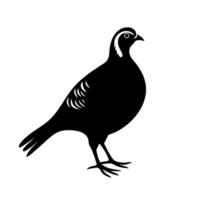 Silhouette of a bird with distinct features in a minimalistic style showcasing elegance vector