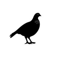 Black silhouette of a pigeon standing on a white background vector