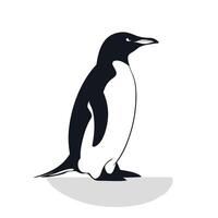 Penguin standing gracefully on the ice in a minimalist design vector