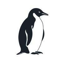 Penguin standing on ice in a cold environment showcasing its distinctive shape and features vector