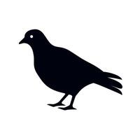 Black silhouette of a bird standing on the ground with a minimalist design style vector