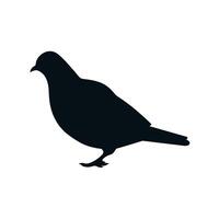 Silhouette of a bird standing on a flat surface in a minimalistic style vector
