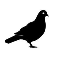 Silhouette of a pigeon resting on a surface in a bright, minimalistic environment vector