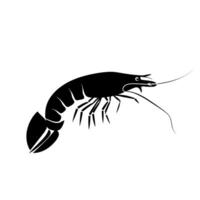 Shrimp illustration showcasing elegance and detail in design and form vector