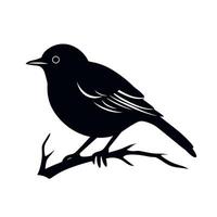 Black bird perched on a branch in a minimalistic design vector