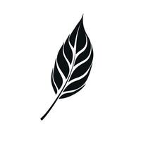Black leaf silhouette with intricate vein patterns on a white background vector