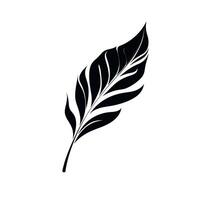 Elegant black silhouette of a tropical leaf against a minimalist backdrop vector