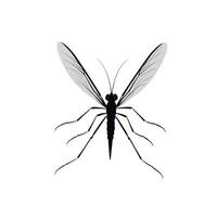 Detailed illustration of a mosquito with transparent wings on a plain background vector