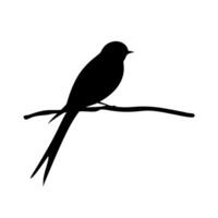 Silhouette of a bird perched on a branch against a plain background vector