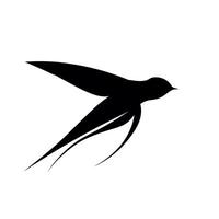 Silhouette of a bird in flight captured against a blank background vector