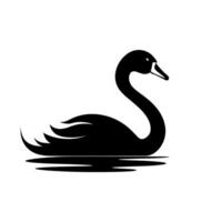 Elegant black swan gliding across calm water in serene natural setting vector