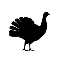 Silhouette of a turkey standing proudly with its feathers displayed in a striking pose vector