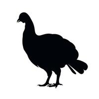 Silhouette of a turkey standing against a plain background in a minimalistic design vector